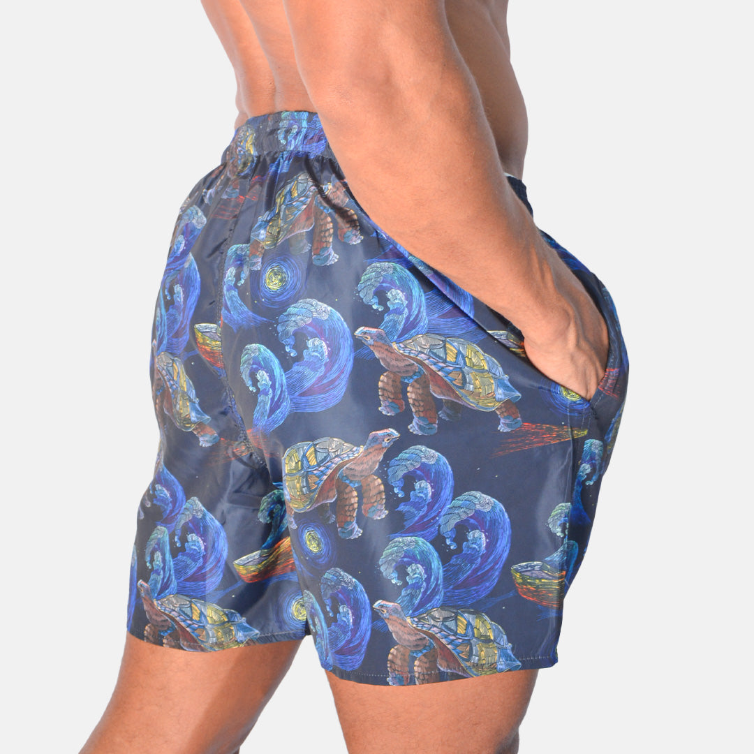 fantasydreamswimmingshort.jpg