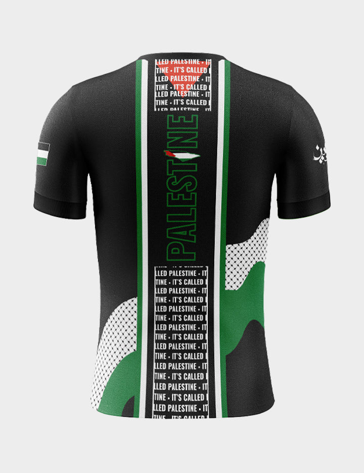 palestine_back.jpg